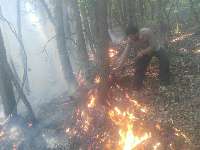 بخشي از جنگل هاي بخش كجور نوشهر دچار آتش سوزي شد