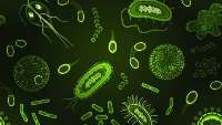 مصرف بی رویه آنتی بیوتیك و خلع سلاح پزشكان در برابر میكروب‌ها
