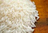 Pak rice exporters arrive in Tehran to explore trade, investment opportunities