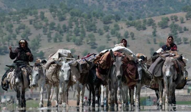 گشت هاي كنترل كوچ بهاره عشاير در ازنا فعال شدند