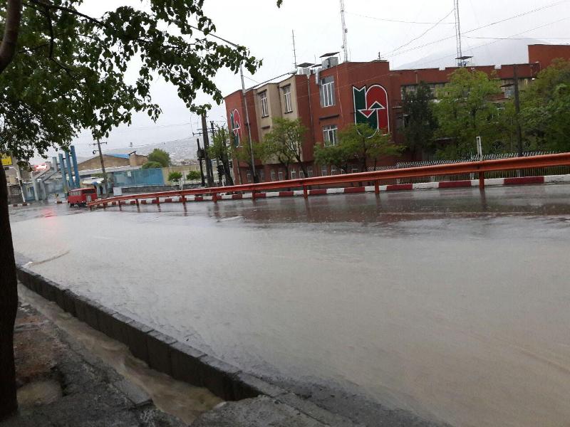 هشدار یخ‌زدگی در کرمان؛ گلخانه‌داران و مرغداران مراقبت کنند