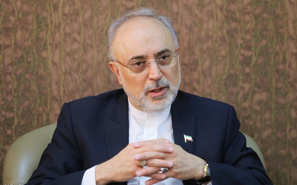 Salehi: Les travaux de la plate-forme du réacteur Arak dans la phase finale Salehi: Les travaux de la plate-forme du réacteur Arak dans la phase finale