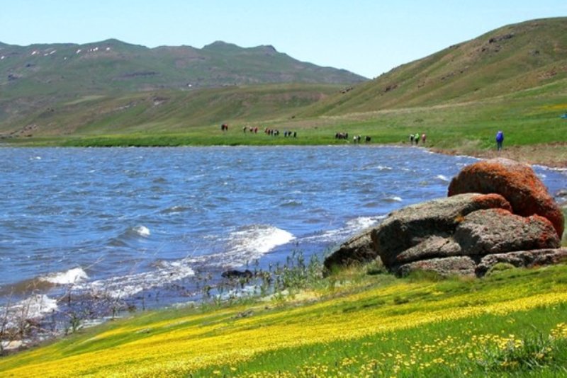 اردك ماهي ها به احياي اكوسيستم 'درياچه نئور' اردبيل كمك مي كنند