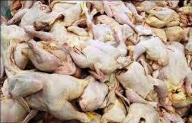 4319 كيلوگرم مرغ غيربهداشتي در شازند كشف شد