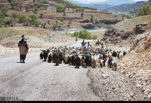 مالکنون عشایر ؛ کوچ در قلمرو تاریخ