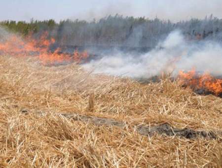 كشاورزان گلستان از آتش زدن بقایای گیاهی پرهیز كنند