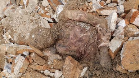 Mummy discovered in shrine compound in south Tehran Mummy discovered in shrine compound in south Tehran