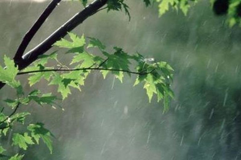 میانگین بارش های چهارمحال و بختیاری به 236 میلیمتر رسید