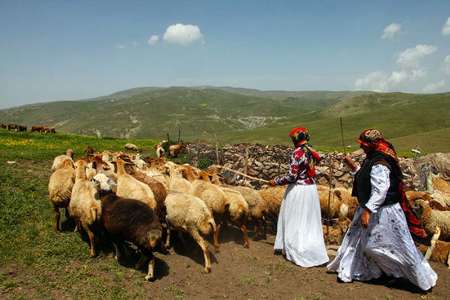97 میلیارد ریال تسهیلات به عشایر آذربایجان غربی پرداخت شد
