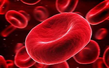 تقويت سازگاري خون تزريقي با استفاده از ويرايش ژنتيكي