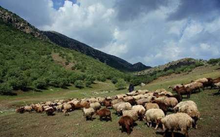 92 طرح مرتعداری درالبرز به تصویب رسید