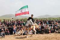 جشنواره زيبايي اسب اصيل كرد در كنگاور برگزار شد