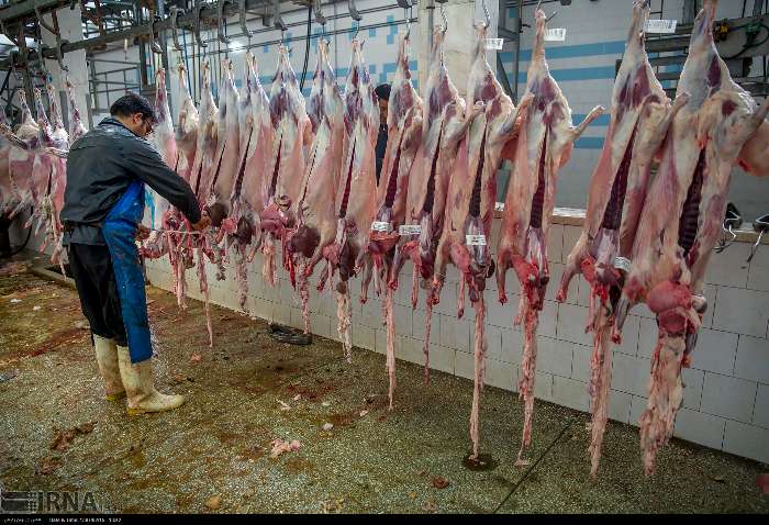 کشتارگاه صنعتی روانسر قادر به تامین سالانه ۱۲ هزار تن گوشت بهداشتی است