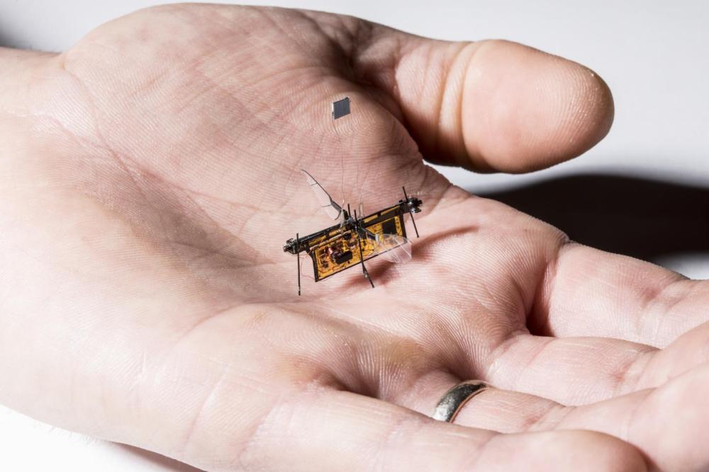 نخستین حشره رباتیك بی سیم از زمین برخاست