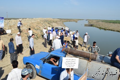 بچه ماهیان پرورشی در رودخانه های گلستان رها شد