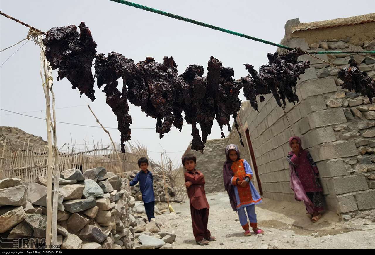 ایرنا - روستای «نگور گرگان» در جنوب سیستان و بلوچستان