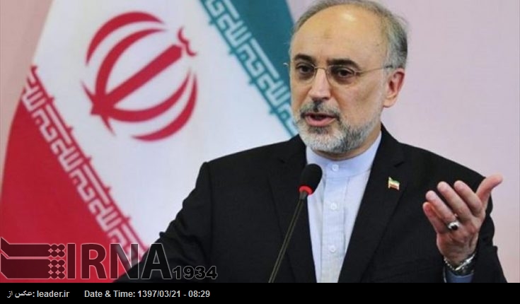 La OEAI anuncia que la central nuclear de Bushehr genera 1000 MW La OEAI anuncia que la central nuclear de Bushehr genera 1000 MW
