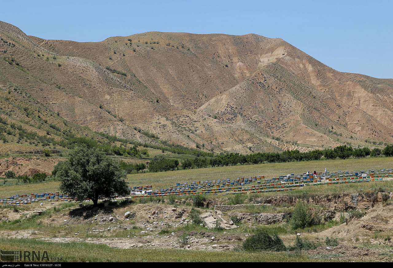 مسوولیت‌پذیری در قبال منابع طبیعی تا پیگیری مسایل عشایر استان سمنان