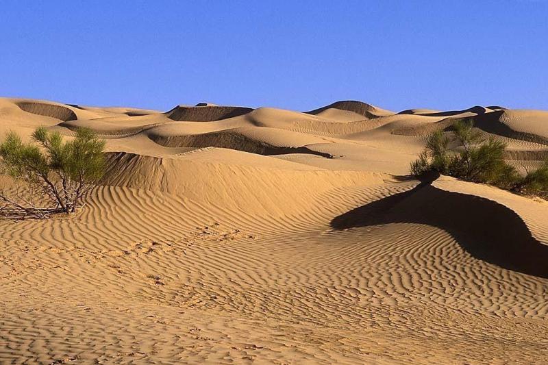 هجوم بيابان، قصه غم انگيز در سمنان