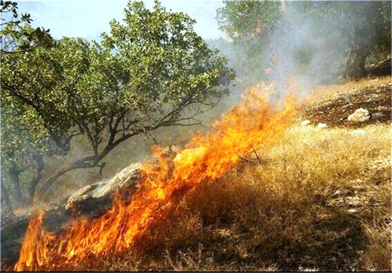 3 هكتار جنگل در مانه و سملقان دچار آتش سوزی شد