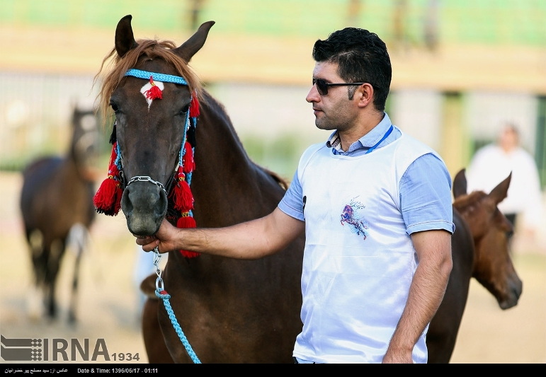 دومين جشنواره ملي اسب كُرد در سنندج برگزار مي شود