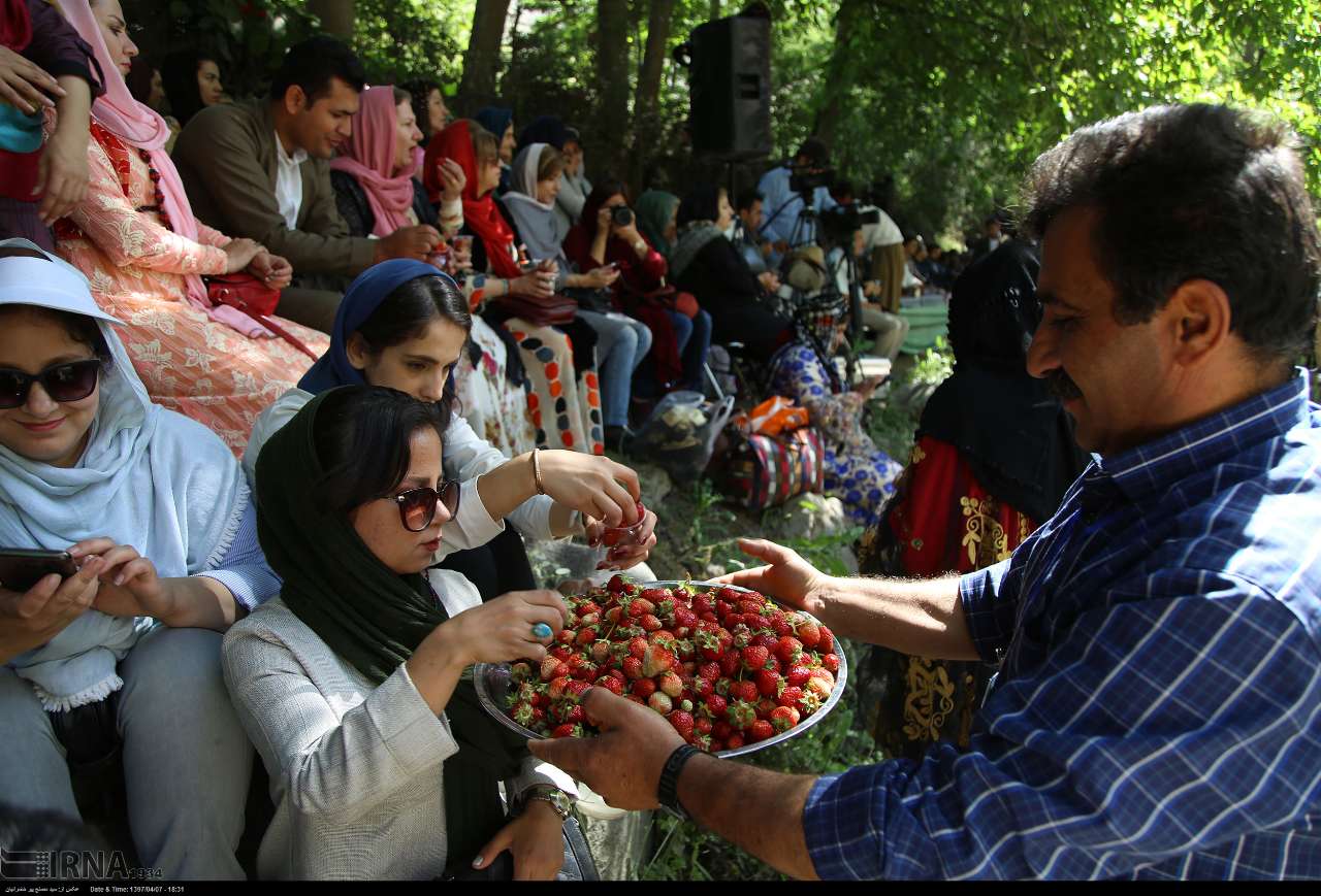 جشنواره توت فرنگی روستای شیان