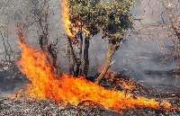 آتش سوزي در منطقه حفاظت شده ديزمار آذربايجان شرقي مهار شد