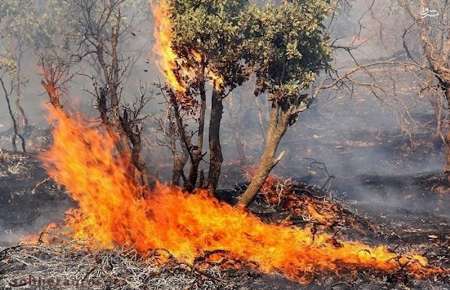 آتش سوزی در منطقه حفاظت شده دیزمار آذربایجان شرقی مهار شد