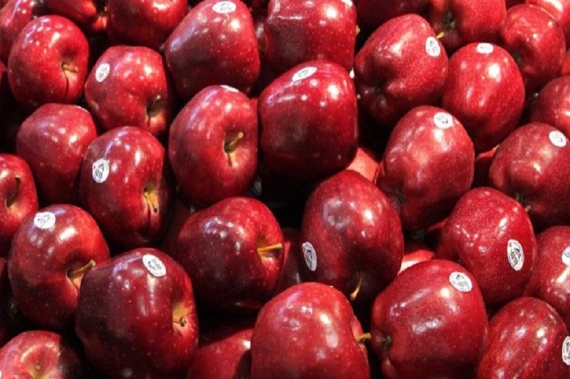 700 هزار تن سیب درختی از كشور صادر شد
