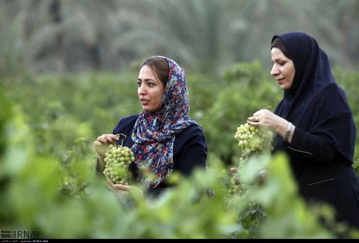 برگزاری جشنوارهها و ارائه خدمات رایگان در هفته گردشگری