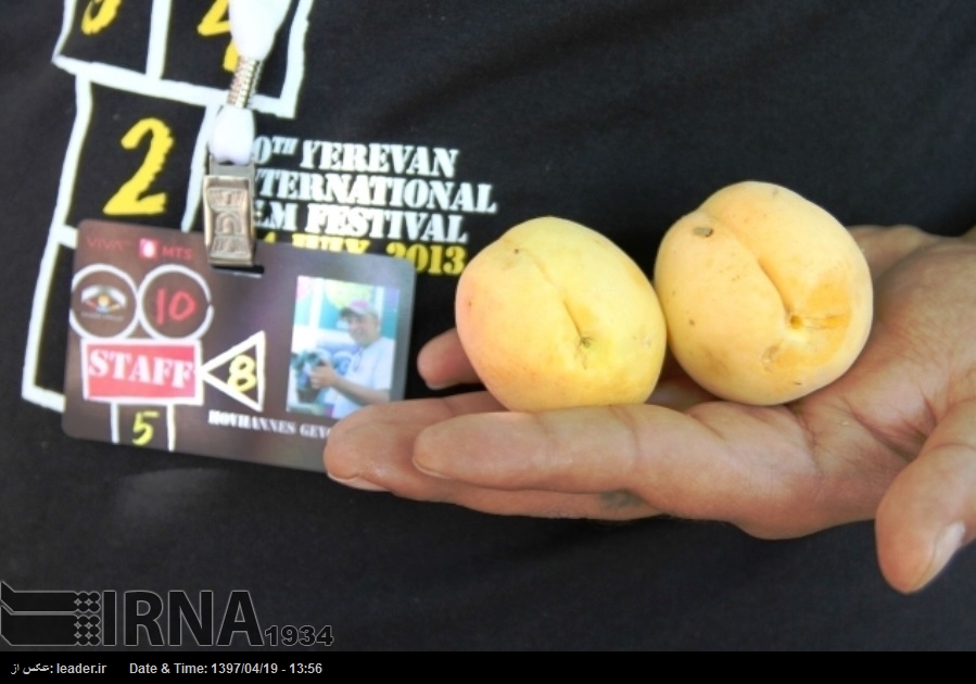 Inaugurado el Festival de Cine de Armenia con la proyección de 2 películas iraníes Inaugurado el Festival de Cine de Armenia con la proyección de 2 películas iraníes