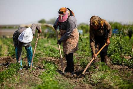 ظرفيتهاي روستايي از مباني تحقق اقتصاد مقاومتي است