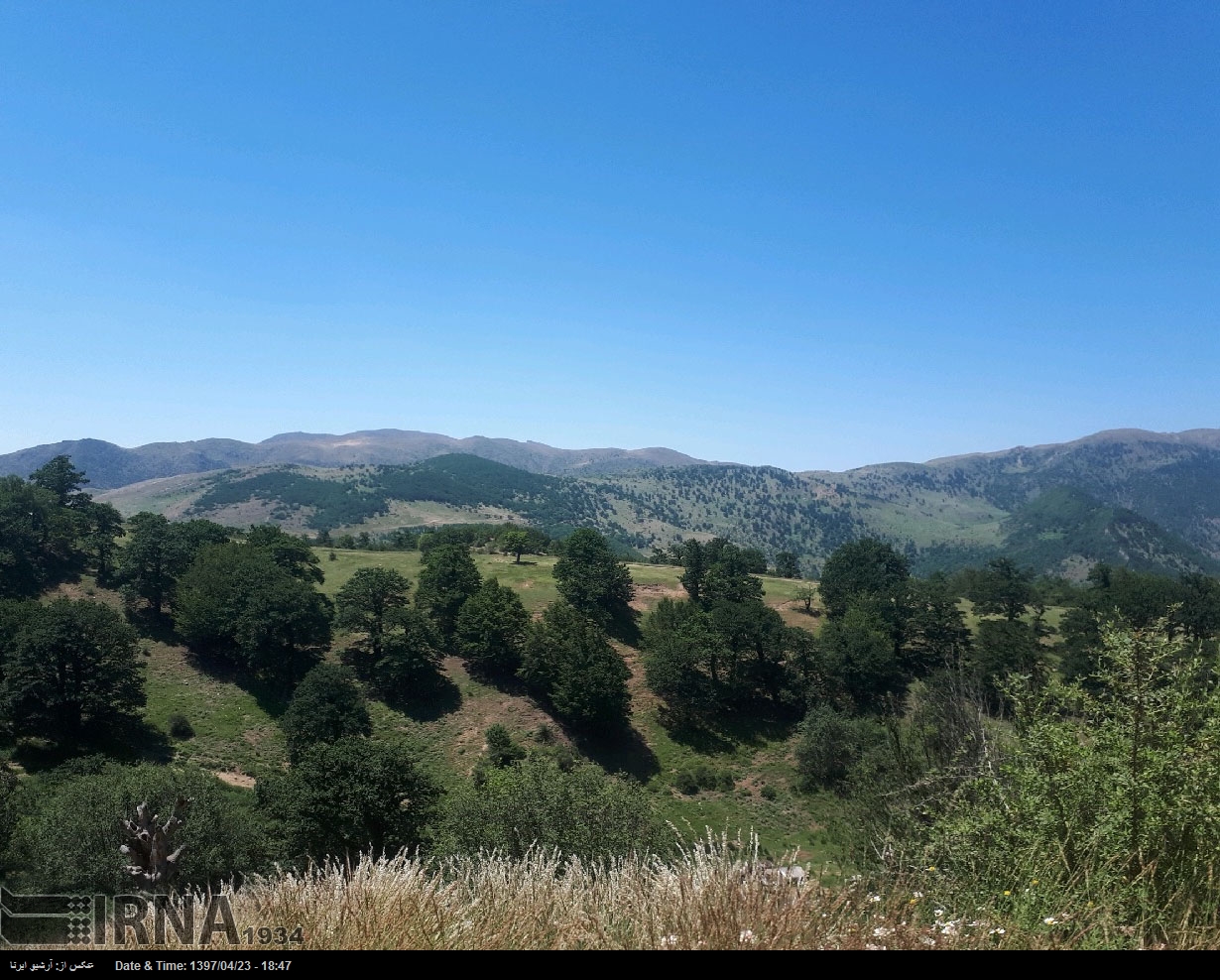 Abr (Wolken)-Wald im nördlichen Iran Abr (Wolken)-Wald im nördlichen Iran