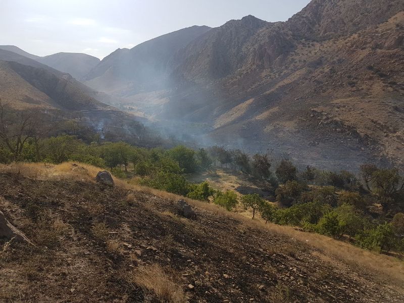 6 هكتار باغ در روستاي پلنگ آباد ساوه طعمه حريق شد