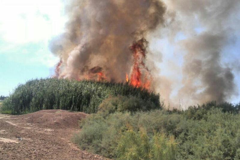 Iran's IRGC: Fire in Iraqi part of lagoon contained