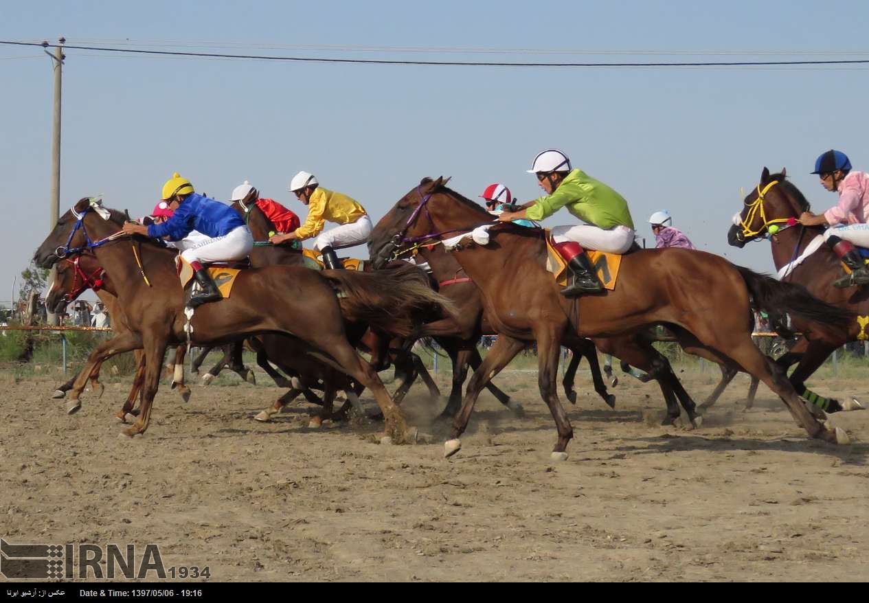 Reitkurs in Bandar-e Tourkaman Reitkurs in Bandar-e Tourkaman