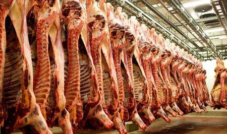 حدود 240 تن گوشت وارداتي در خراسان رضوي توزيع شد