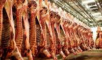 حدود 240 تن گوشت وارداتي در خراسان رضوي توزيع شد