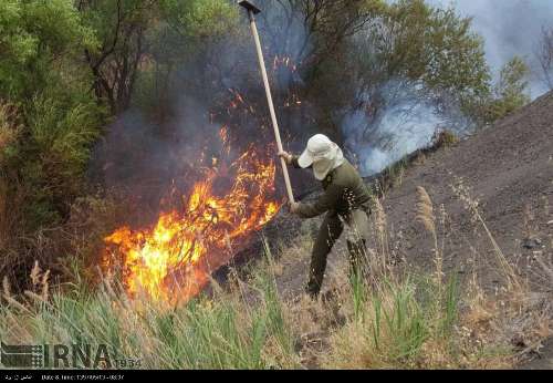 آتش سوزی در منابع طبیعی قزوین