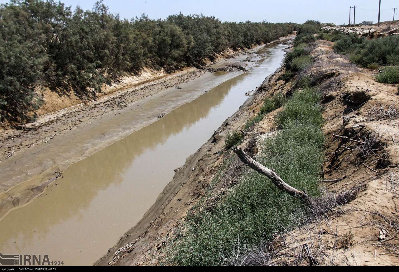 قاضی خلاق و محکومان ناجی؛ مأموریت سبز محکومان گلستانی