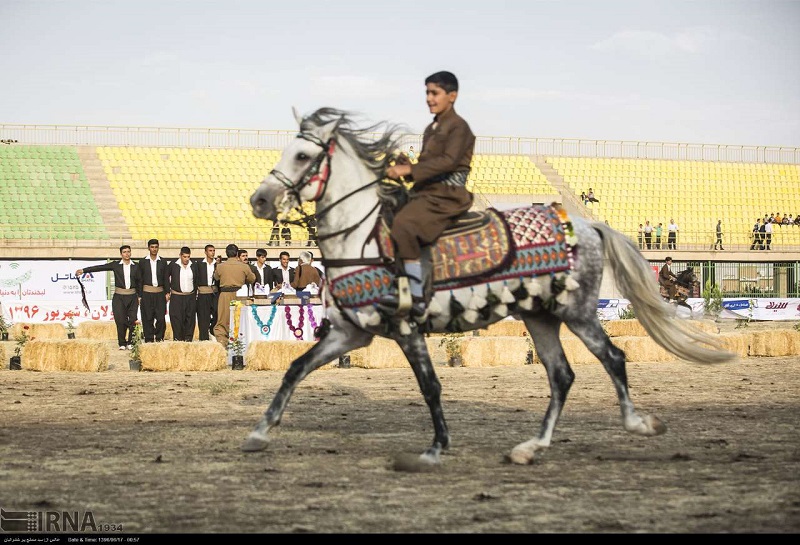 نژاد اسب كرد به نام كرمانشاه ثبت خواهد شد