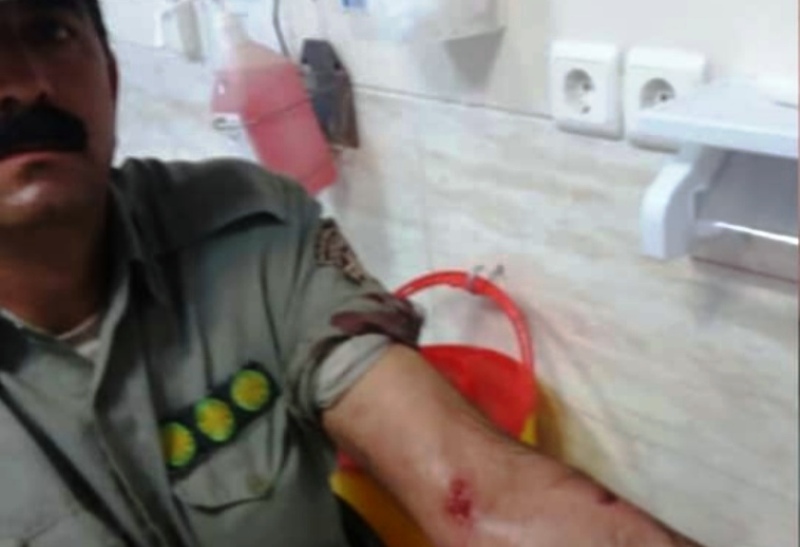 محیط بان پارك ملی بمو شیراز با حمله پلنگ مجروح شد