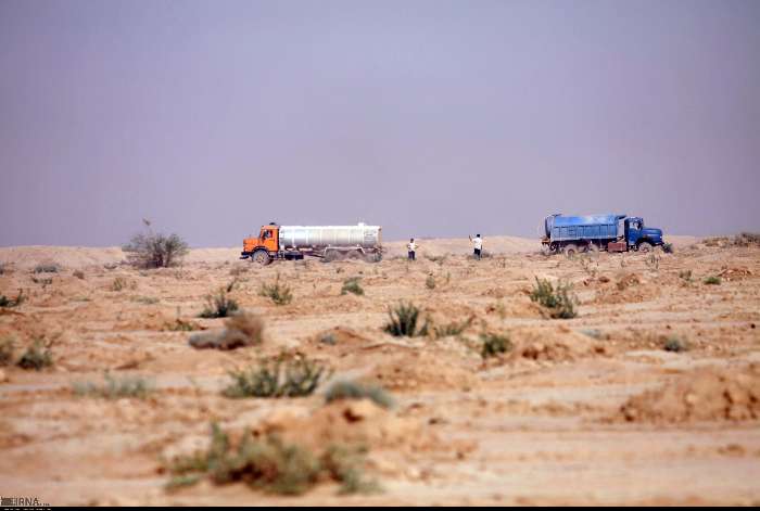چهارمیلیون اصله نهال خوزستان با زهاب‌های نیشکری آبیاری می‌شوند