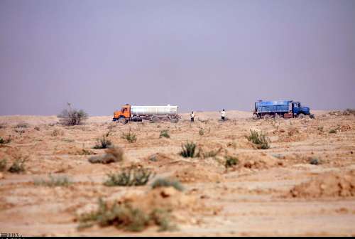 چهارمیلیون اصله نهال خوزستان با زهاب‌های نیشکری آبیاری می‌شوند