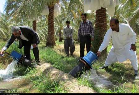 طرح آبياري كم فشار در نخيلات ريگان اجرا شد