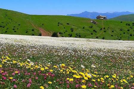 نمين شهر سبز گردشگري اردبيل شود