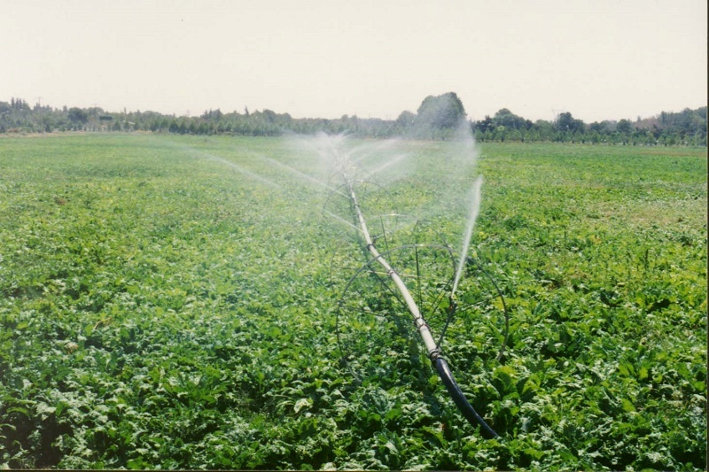 پنج طرح كشاورزي در داورزن به ثمر نشست