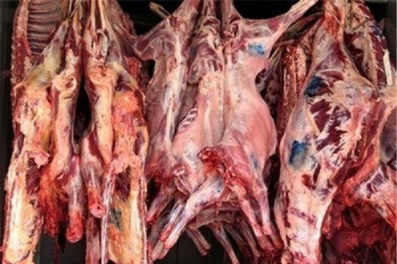 چهار عرضهكننده گوشت فاسد در آستارا به دادگاه معرفي شدند چهار عرضهكننده گوشت فاسد در آستارا به دادگاه معرفي شدند