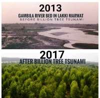 طرح موفق جنگل كاری در پاكستان؛ كاهش اثرات تغییر اقلیم