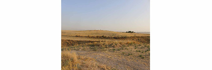 Settlement area of Middle Elamite era rescued Settlement area of Middle Elamite era rescued